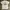 Vintage Y2K T-shirt Pria White