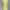 BEBE neon striped see through top summer beachwear photo 4
