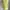BEBE neon striped see through top summer beachwear photo 1