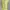 BEBE neon striped see through top summer beachwear photo 3