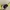 BEBE neon striped see through top summer beachwear photo 2