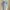 CLUB MONACO off shoulder Sabrina baby blue top photo 4