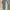 CLUB MONACO off shoulder Sabrina baby blue top photo 1