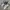 New Balance Streetwear Sportswear Sneakers Wanita Silver White
