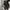 Sisley kulit domba size M jaket kulit asli slim cewek biker photo 8