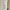 BCBGeneration white one shoulder dress photo 1