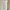 BCBGeneration White One Shoulder Dress