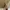 BCBGeneration white one shoulder dress photo 2