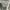 Cultivation Elle Silver Grey Satin Floral Shirt photo 4