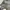 Cultivation Elle Silver Grey Satin Floral Shirt photo 5