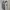 Cultivation Elle Silver Grey Satin Floral Shirt photo 1