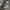 Vintage Levi's 501 Buttonfly photo 5