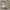 ZARA Luxury Minimalist Mini skirt Wanita white cream photo 1