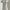 Burberry Ruffled neck Polo Top photo 1