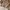 ZARA Luxury Casual Fleece Wanita tan khaki photo 2