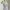 Marc Jacobs eyelet off shoulder white dress with bow photo 3