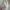 Marc Jacobs eyelet off shoulder white dress with bow photo 6