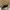 Marc Jacobs eyelet off shoulder white dress with bow photo 2