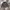 The North Face Summit Series 850 LTD Down Puffer Jacket photo 1