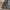 The North Face Summit Series 850 LTD Down Puffer Jacket photo 9