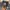 The North Face Summit Series 850 LTD Down Puffer Jacket photo 5