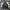 Converse Streetwear Sportswear Bomber jacket Pria white black photo 2