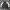 Converse Streetwear Sportswear Bomber jacket Pria white black photo 1