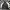 Converse Streetwear Sportswear Bomber Jacket Pria White Black