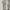 Maxmara blouse broken white photo 1