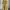 The editor's market mustard button dress photo 1