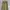Casual Culotte Wanita green photo 3