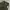 MUSINSA chino pants wide baggy photo 3