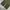 MUSINSA chino pants wide baggy photo 6