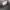 Sepatu Nike Kyrie 5 Friends Seken Original photo 6