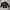Streetwear Bomber Jacket Pria Burgundy