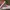 VANS SLIP ON CHECKERBOARD AMERICAN FLAG photo 1