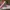 VANS SLIP ON CHECKERBOARD AMERICAN FLAG