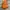 Fjällräven Casual Bag Pria orange photo 1