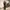 Suit - stripe pattern photo 2