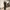 Suit - stripe pattern photo 3