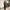 Suit - Salagia stripe pattern photo 2