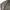 Suit - Salagia stripe pattern photo 4
