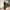 Suit - Salagia stripe pattern photo 3