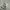 Vintage Sportswear Pria white photo 3