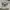 Vintage Sportswear Pria white photo 1