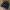 Denim Jacket Black photo 5