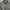 Biker Casual Windbreaker Pria gray photo 2