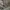 Biker Casual Windbreaker Pria gray photo 4