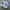 New Balance Casual Sneakers Pria white photo 1