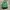 VANS Streetwear Casual Bag Pria green photo 1